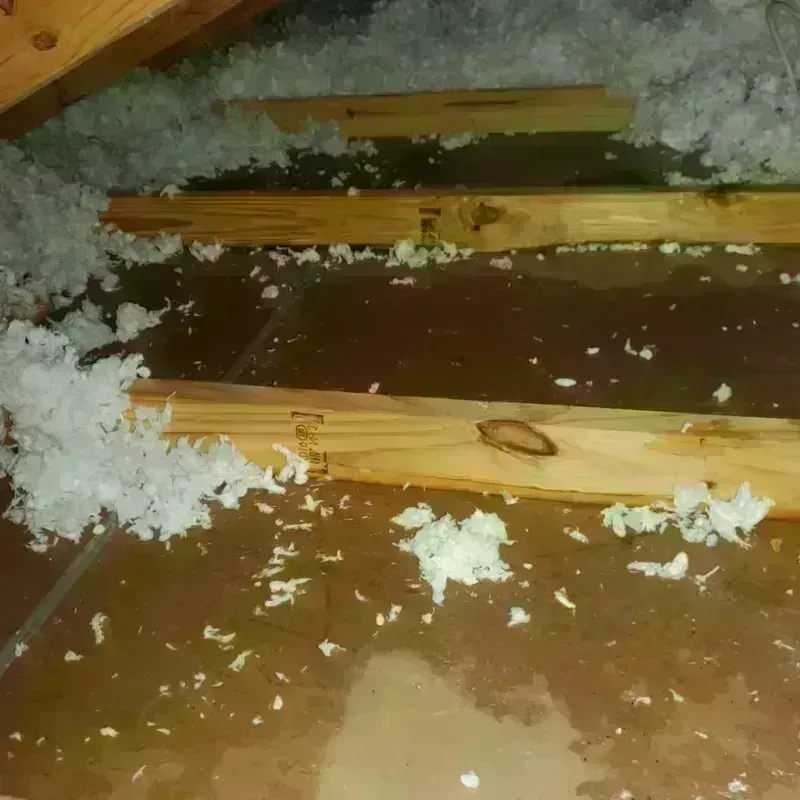 Attic Water Damage in Monte Alto, TX