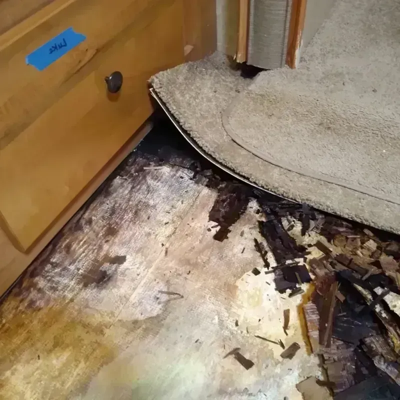 Best Wood Floor Water Damage Service in Monte Alto, TX